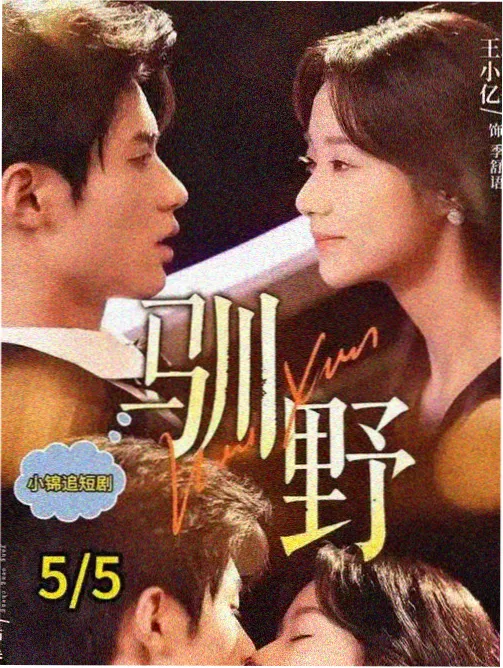 迷雾档案 剧集海报